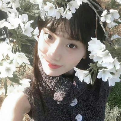 穿梭少女梦 封面